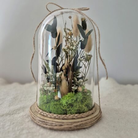 Kopuła z roślinami na prezent.