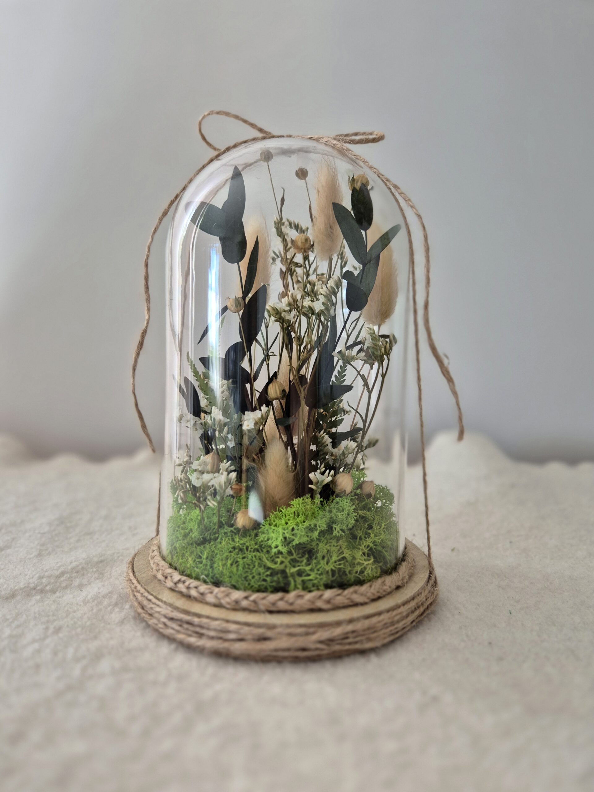 Kopuła z roślinami na prezent.