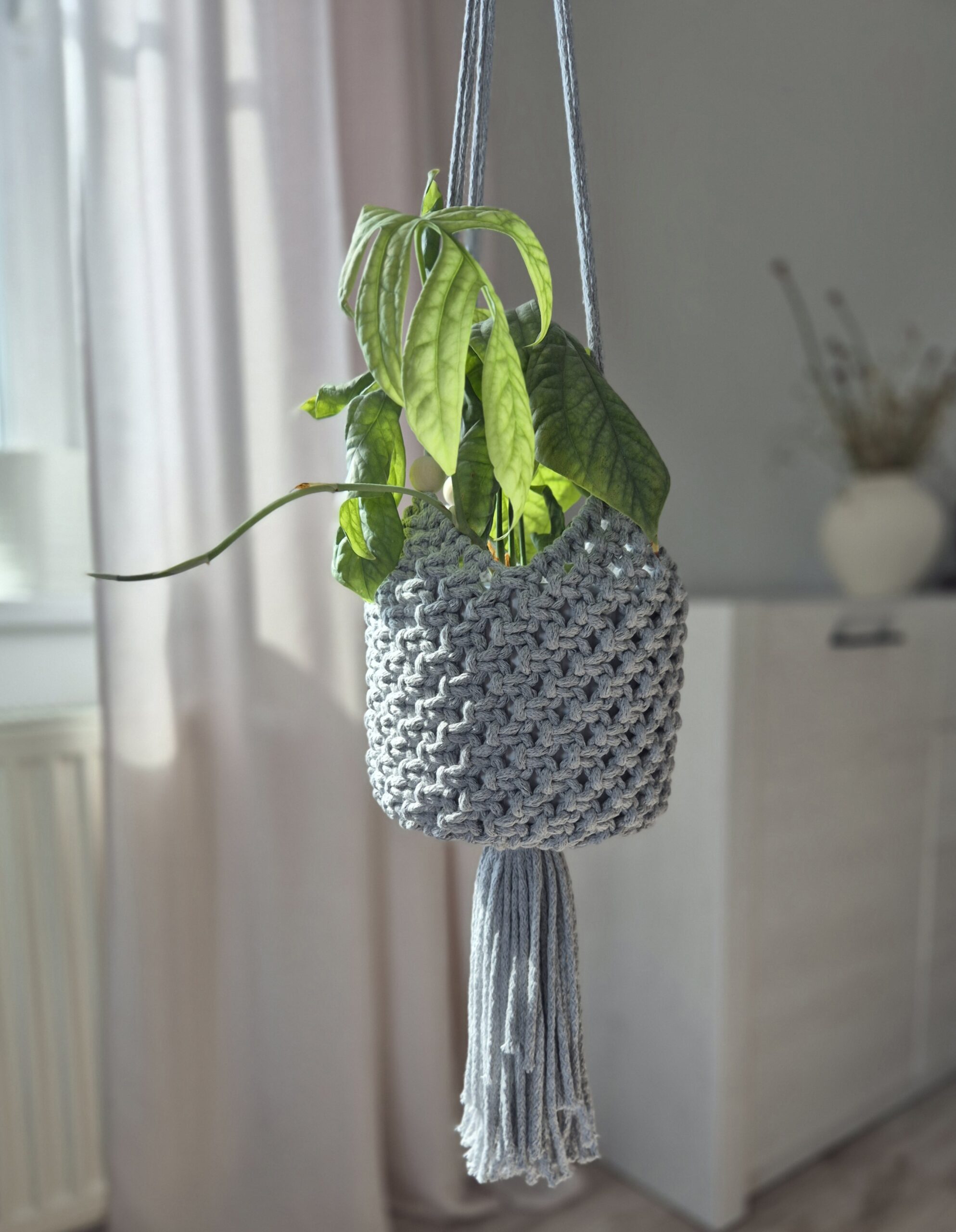 Kwietnik ze sznurka - pokazane jak wygląda z rośliną.